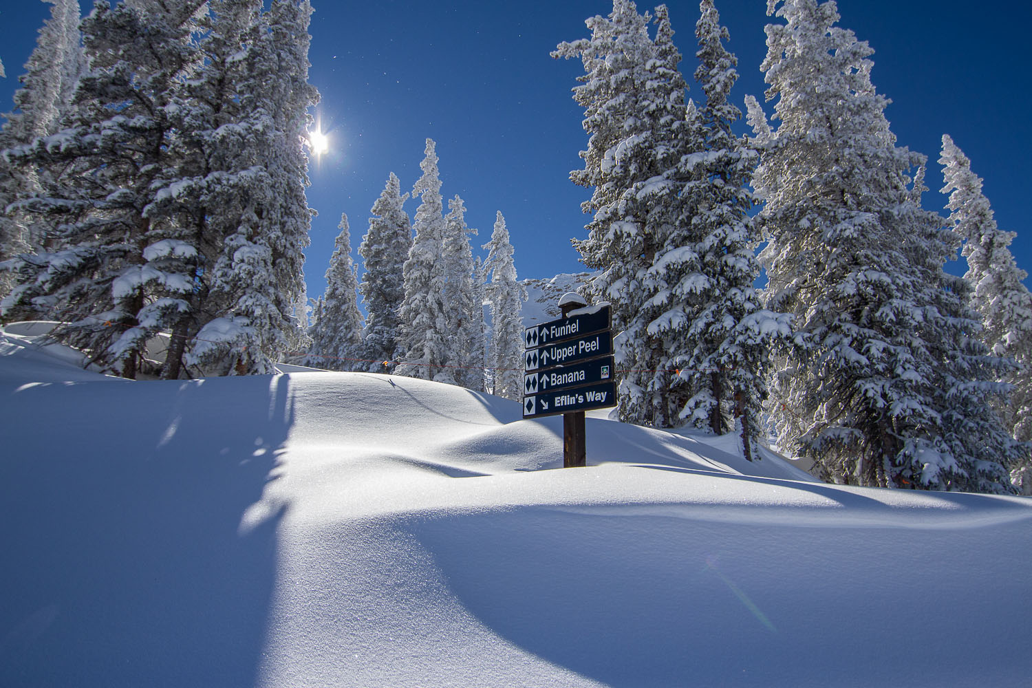 About My Crested Butte Guide
