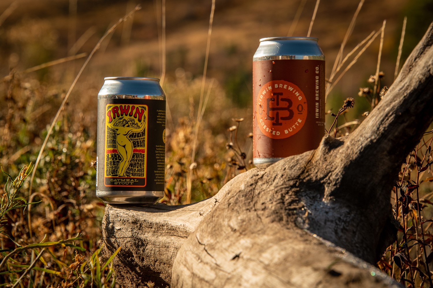 Irwin Brewing Company - Crested Butte CO