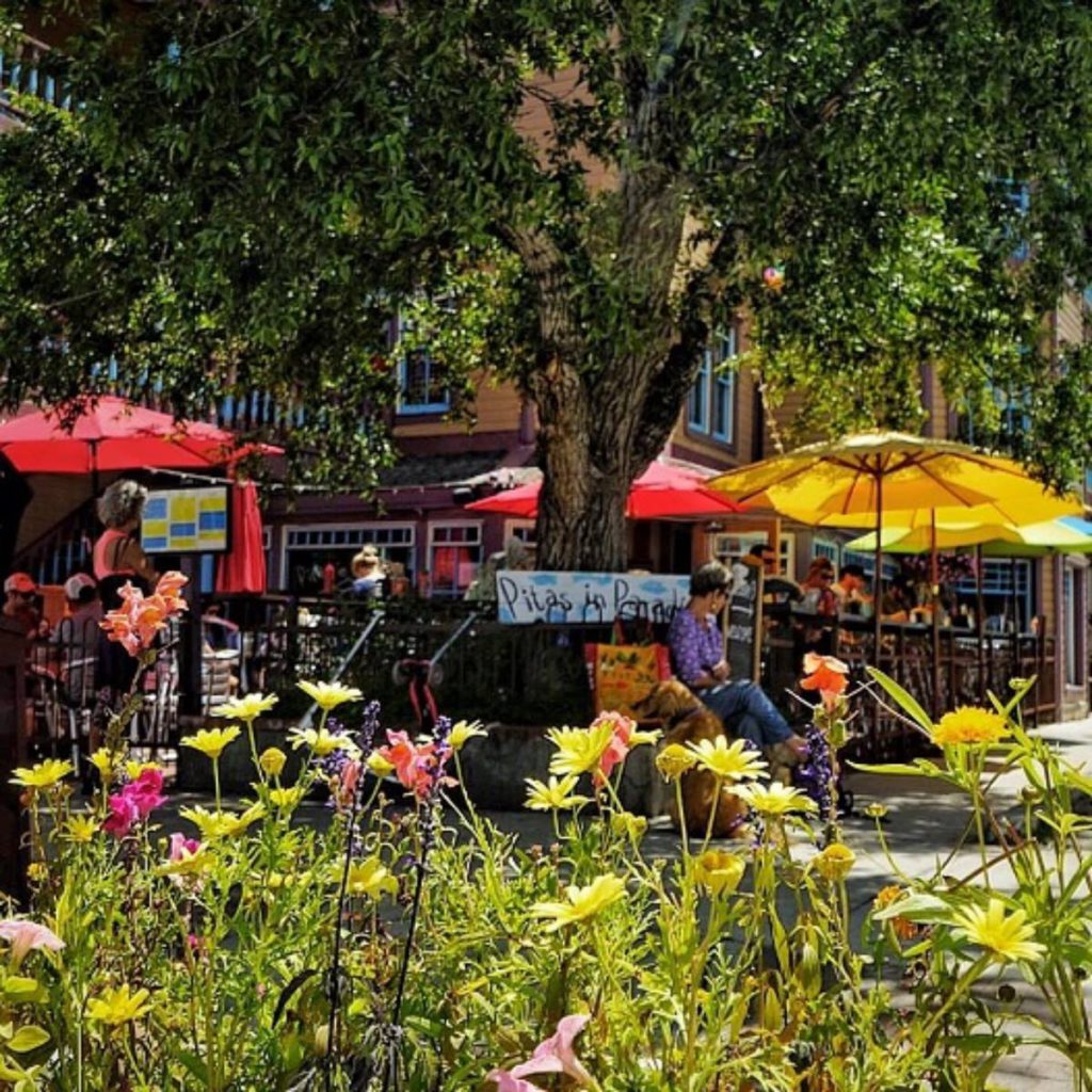 Pitas in Paradise - Crested Butte CO
