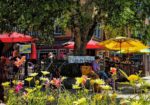 Pitas in Paradise - Crested Butte CO