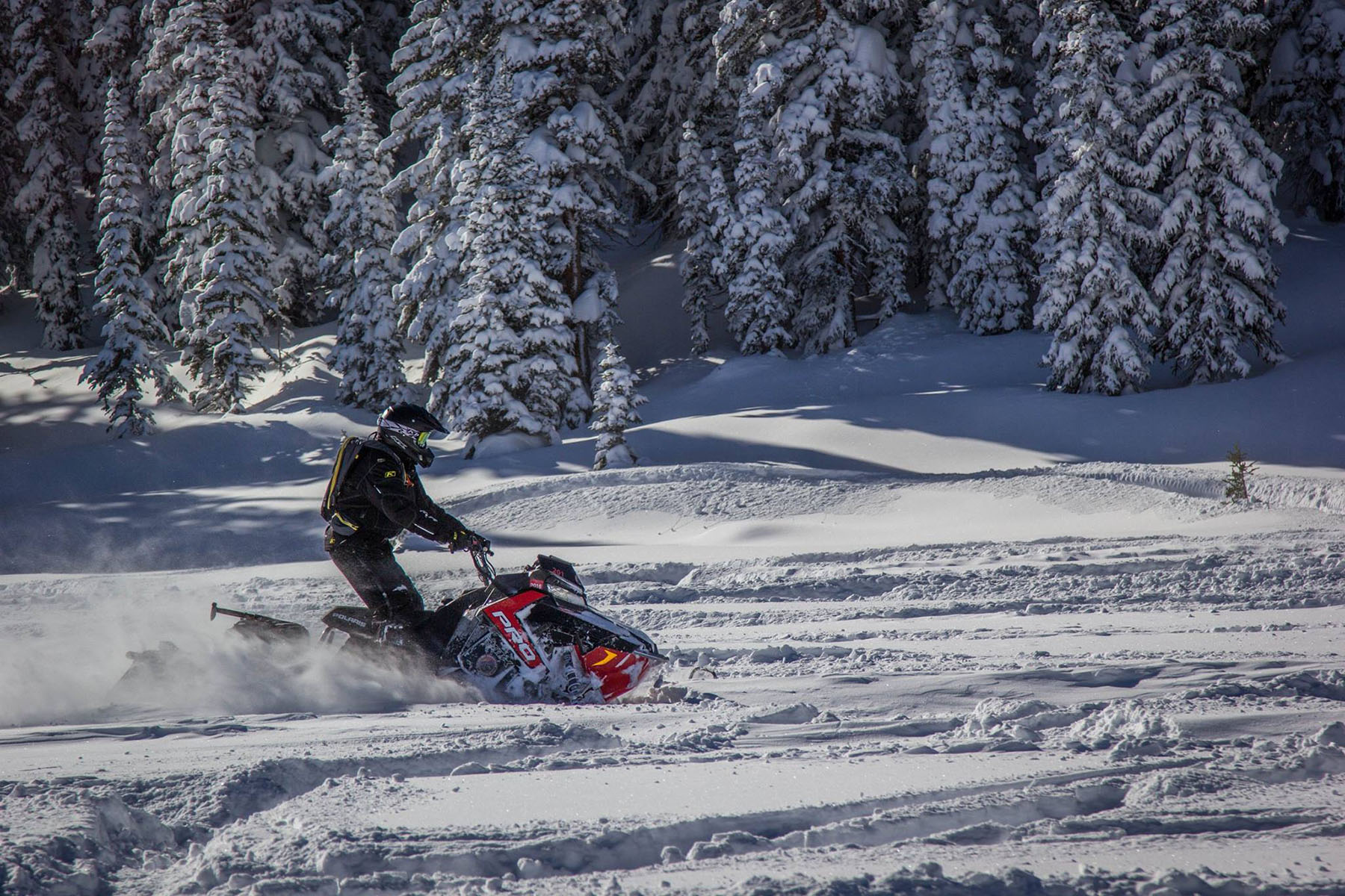 Colorado Adventure Rentals - Crested Butte ATV and Snowmobile Rentals