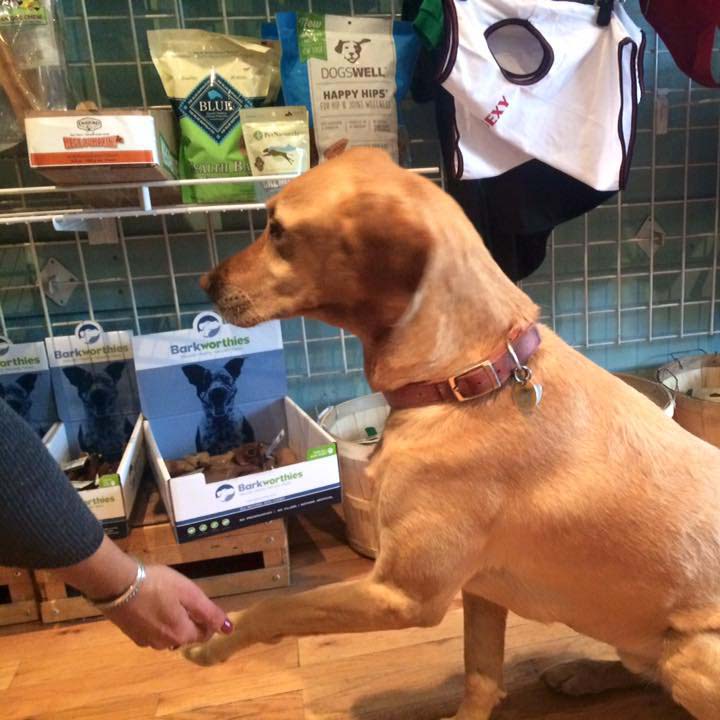 Mountain Tails Pet Store - Crested Butte, CO.