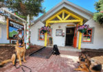 Mountain Tails Pet Store