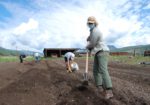 Crested Butte Land Trust - Crested Butte, Colorado