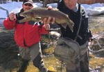 Crested Butte ANgler - Crested Butte Fishing Guide & Shop