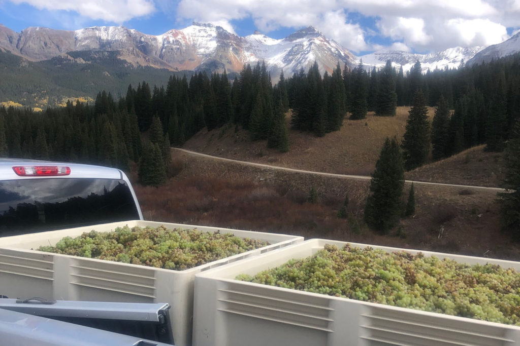 Buckel Family Wine - Gunnison Colorado
