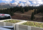 Buckel Family Wine - Gunnison Colorado