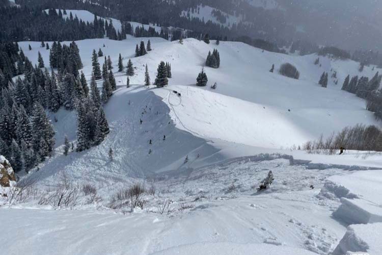 Crested Butte Avalanche Center