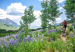 Crested Butte Sports - Ski and Mountain Bike Sales Rentals & Repair
