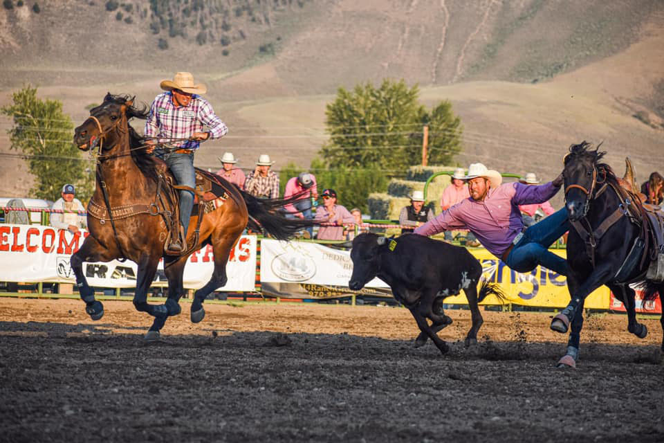 Gunnison Cattlemen's Days Steer Wrestling. Photo: c/o Cattlemen's Days FB page.