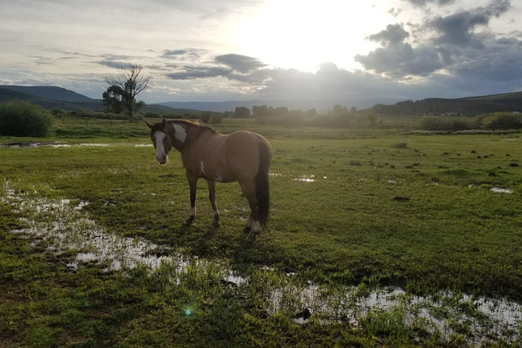 Lost Miner Ranch & Equestrian Center - Gunnison Colorado