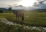 Lost Miner Ranch & Equestrian Center