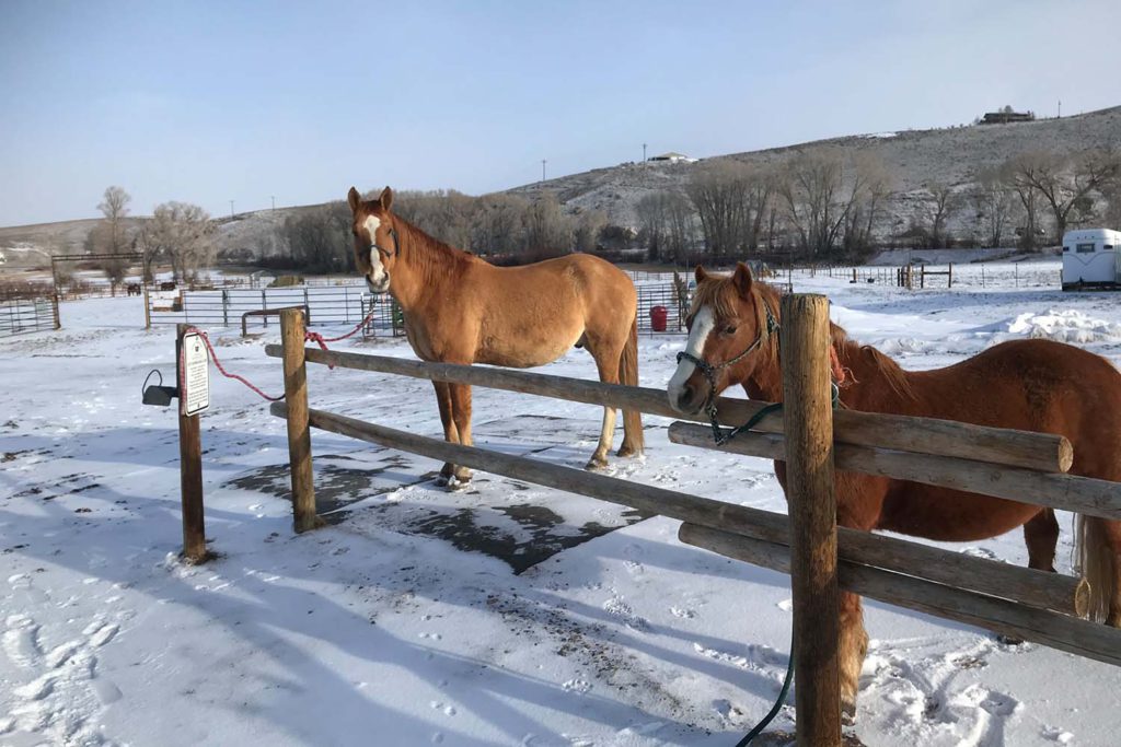 Lost Miner Ranch & Equestrian Center - Gunnison Colorado