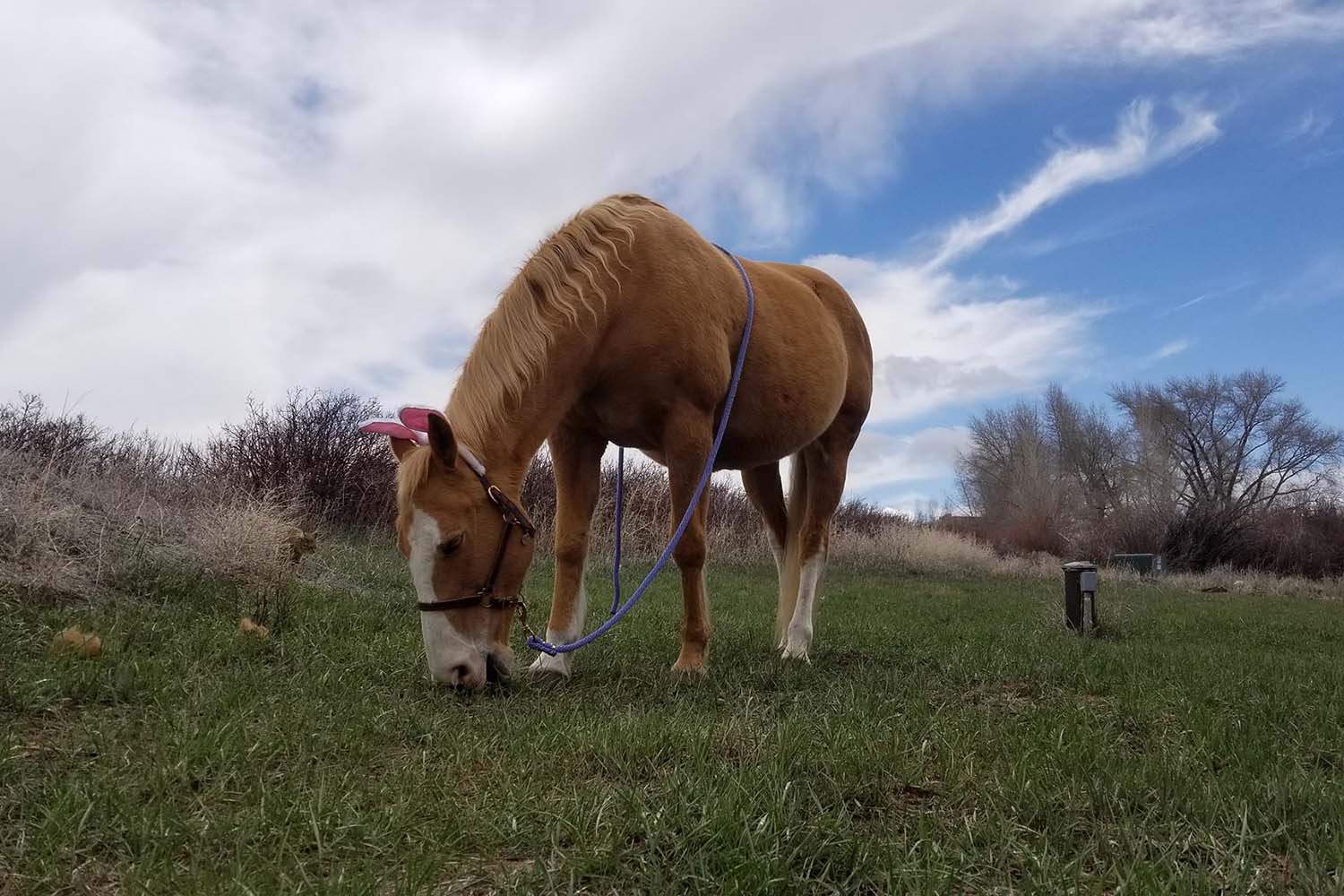 Lost Miner Ranch & Equestrian Center - Gunnison Colorado