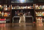 Tully's Restaurant | Crested Butte South