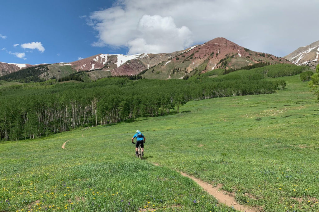 Big Al's Bicycle Heaven - Crested Butte Bike Shop