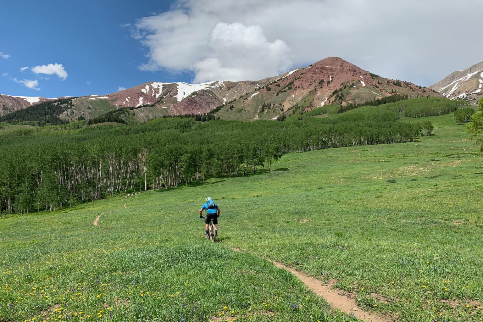 Big Al's Bicycle Heaven - Crested Butte Bike Shop