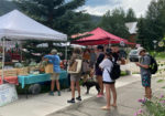 Crested Butte Farmer's Market