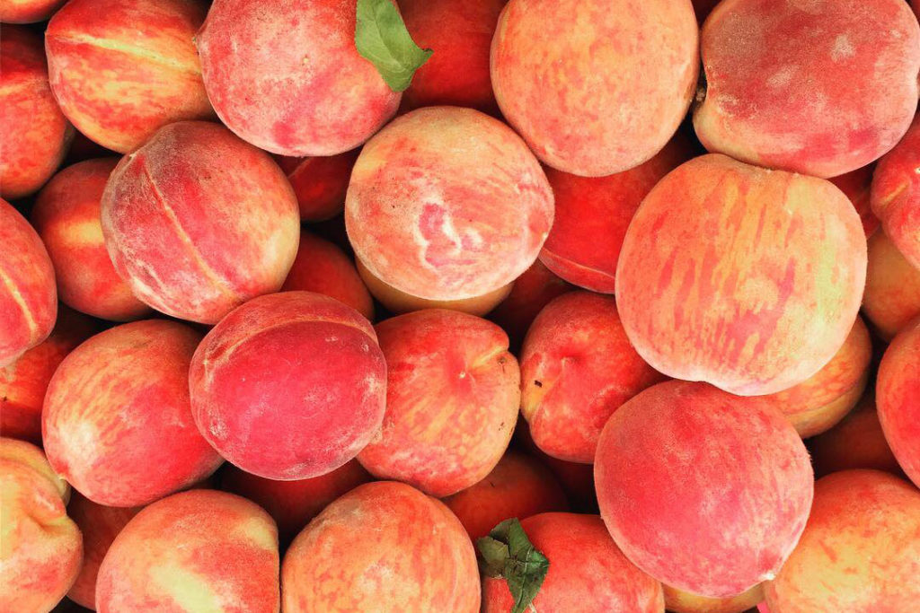 Crested Butte Farmer's Market