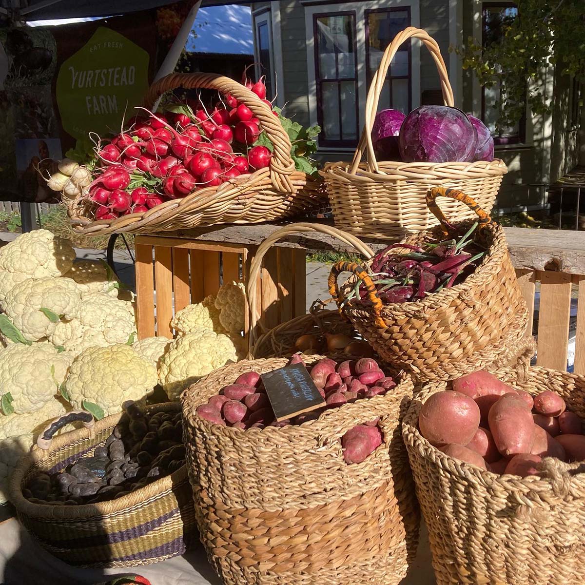 Crested Butte Farmer's Market