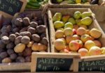 Crested Butte Farmer's Market