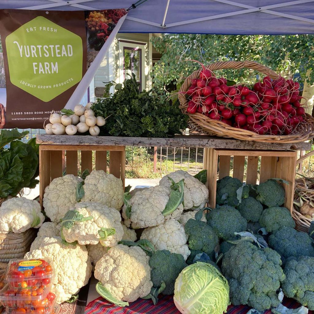 Crested Butte Farmer's Market
