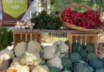 Crested Butte Farmer's Market