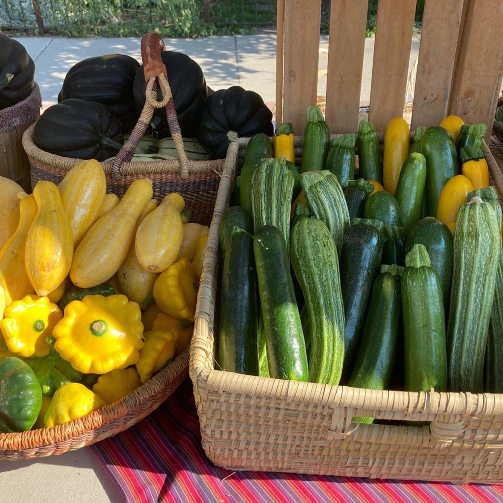 Crested Butte Farmer's Market