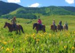Fantasy Ranch Horseback Adventures - Crested Butte Horseback Riding