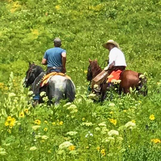Fantasy Ranch Horseback Adventures - Crested Butte Horseback Riding