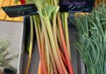 Gunnison Farmer's Market