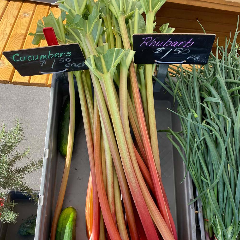 Gunnison Farmer's Market