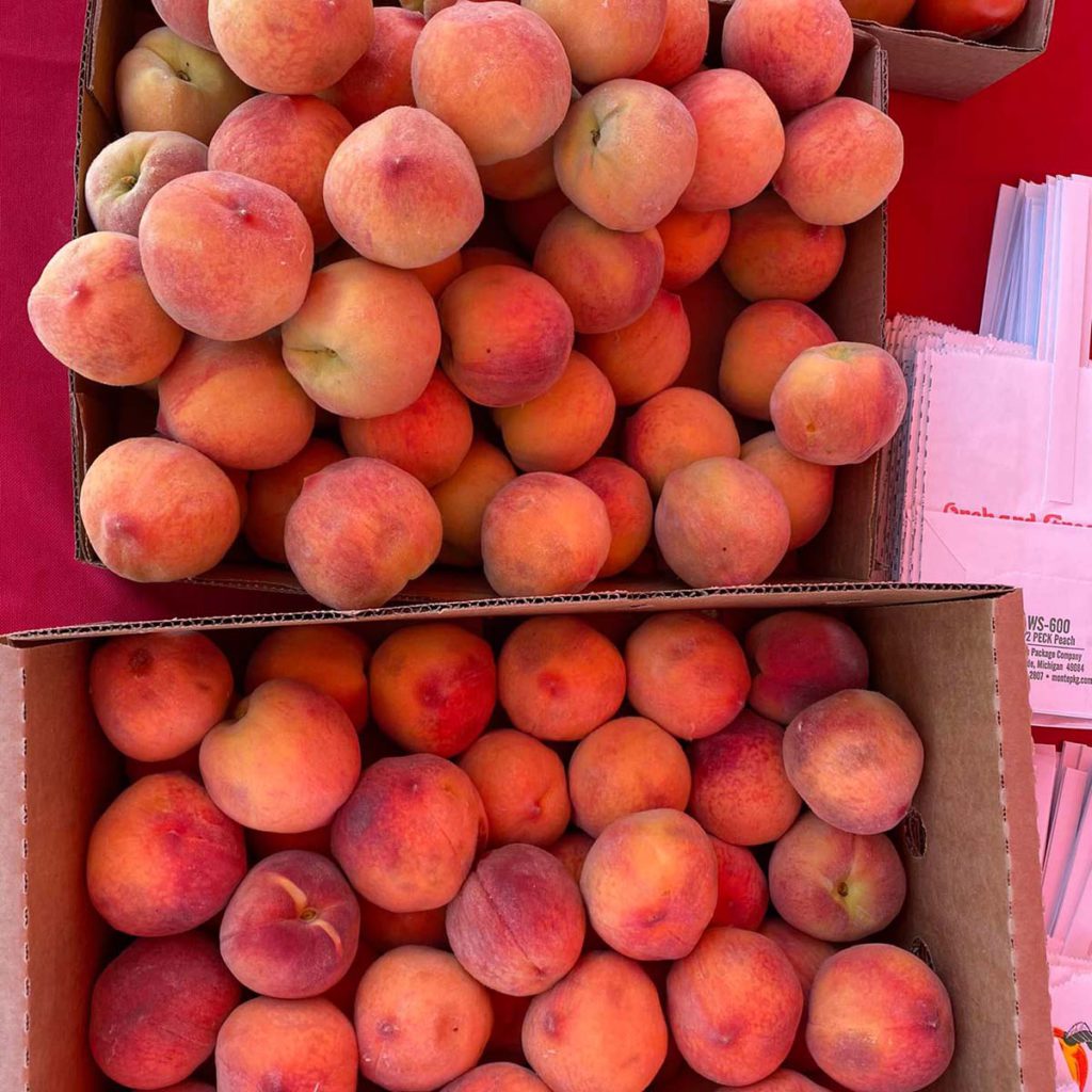 Gunnison Farmer's Market