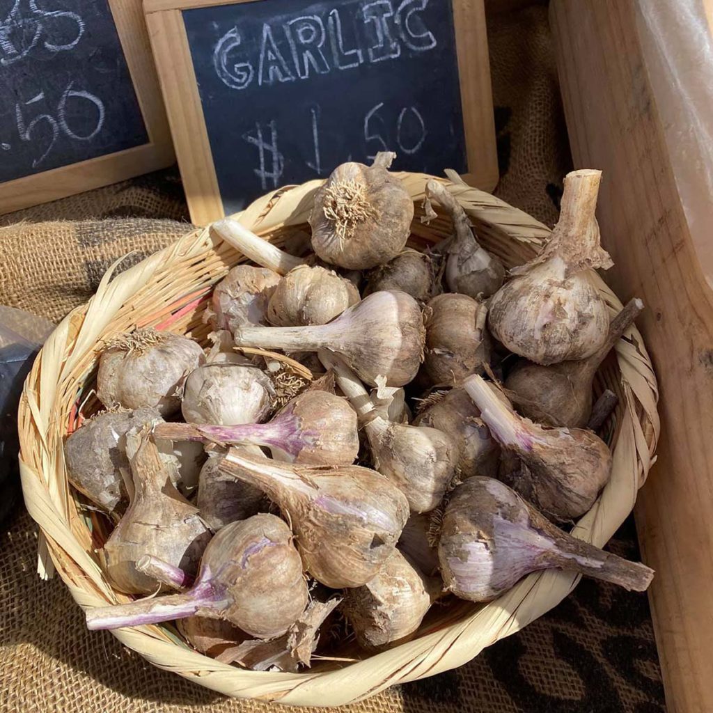 Gunnison Farmer's Market