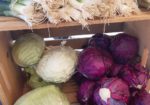 Gunnison Farmer's Market