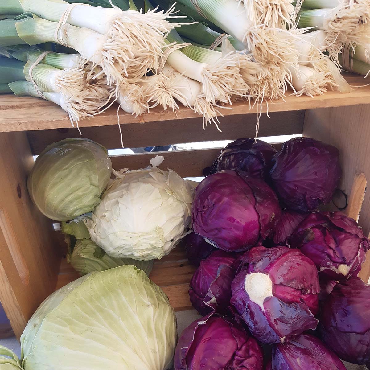Gunnison Farmer's Market