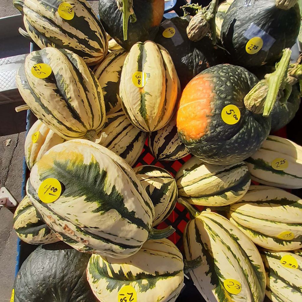 Gunnison Farmer's Market