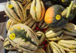 Gunnison Farmer's Market