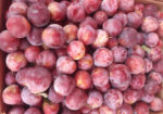 Gunnison Farmer’s Market