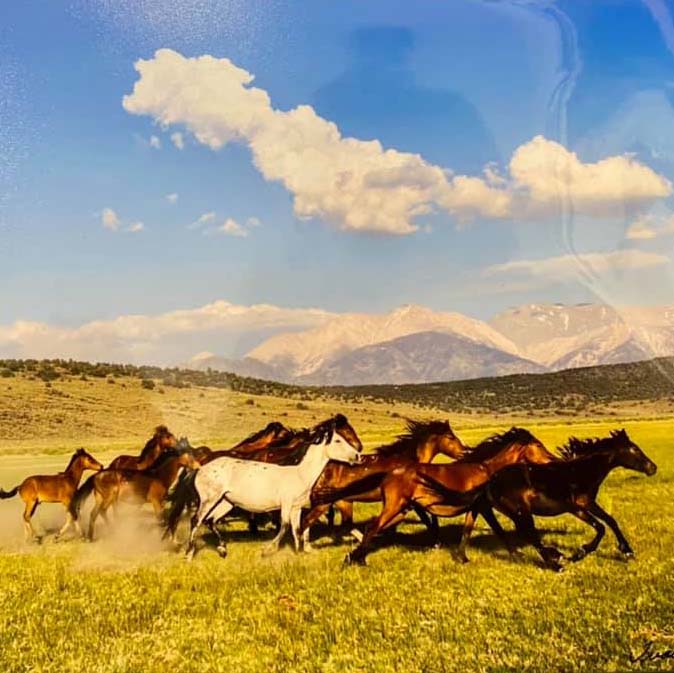 Paragon Art Gallery - Crested Butte, Colorado
