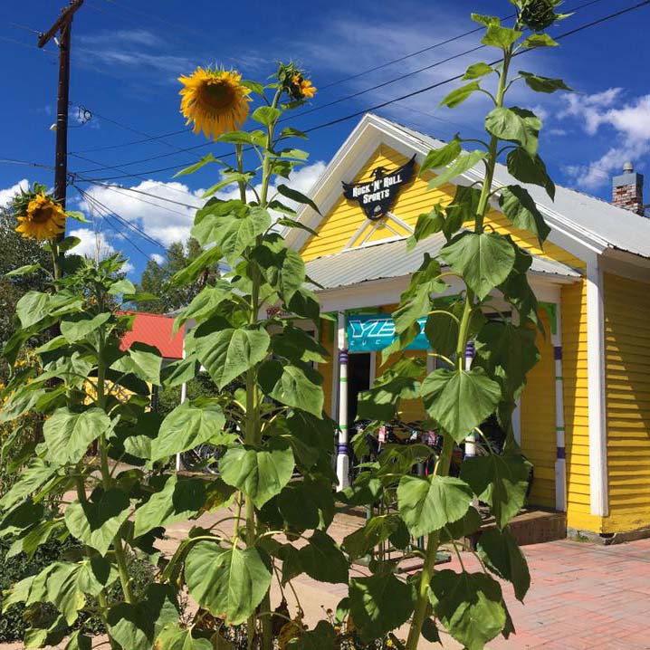 Rock and Roll Sports - Gunnison Colorado