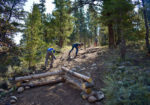 High Country Conservation Advocates - Crested Butte, Colorado