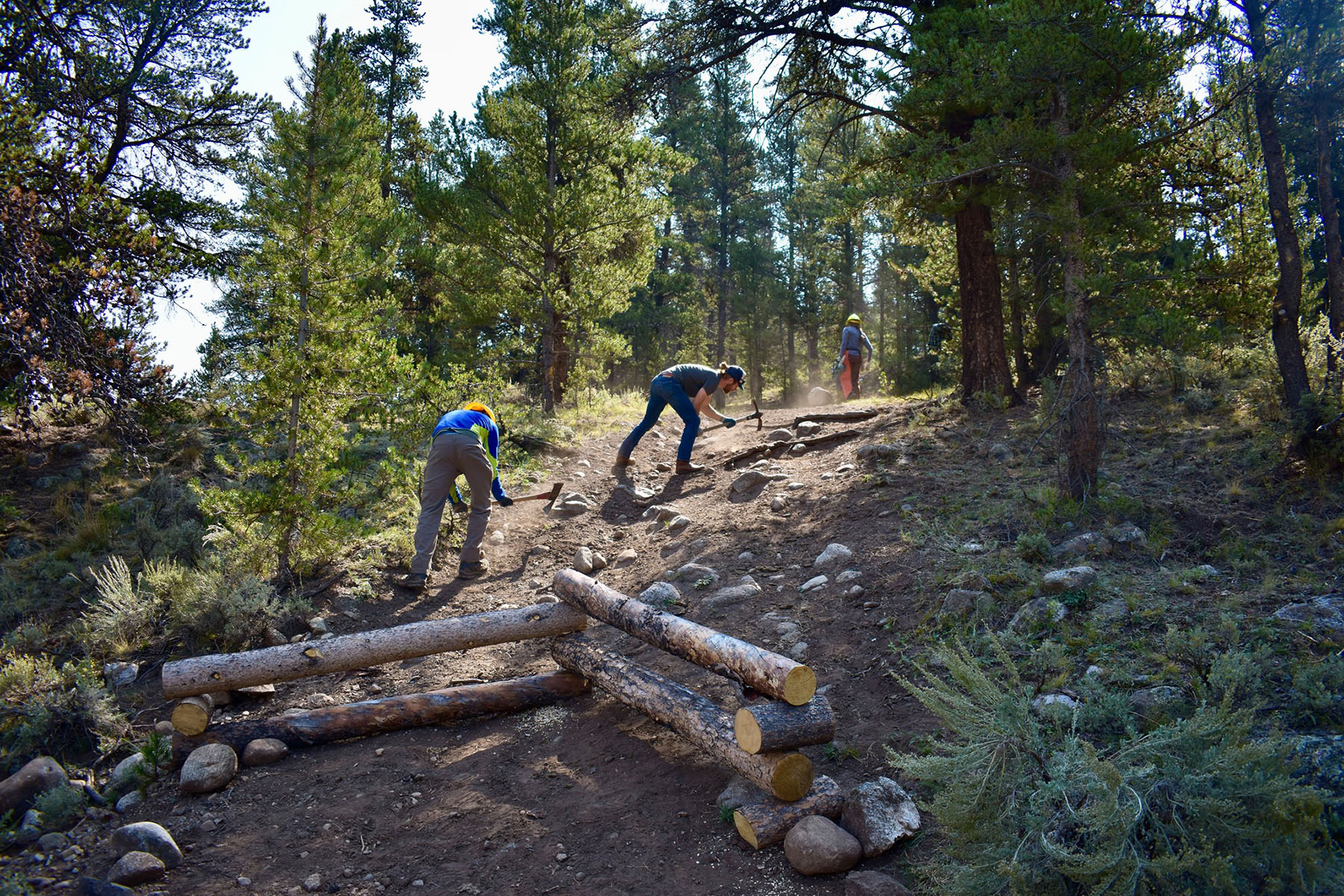 High Country Conservation Advocates - Crested Butte, Colorado