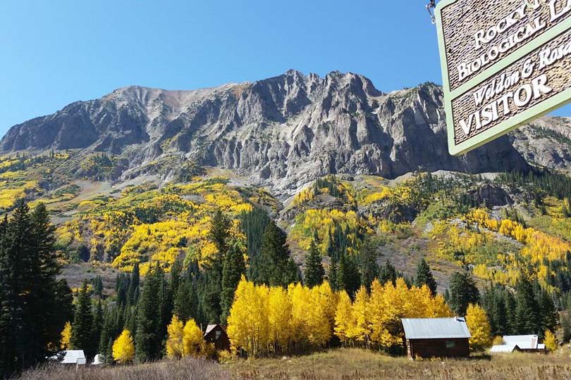 Rocky Mountain Biological Laboratory - Crested Butte Colorado