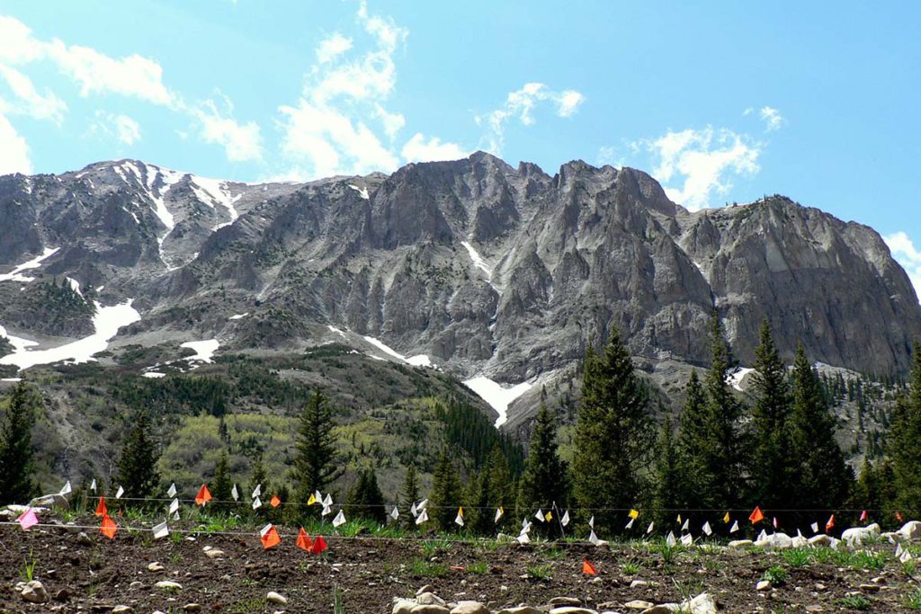 Rocky Mountain Biological Laboratory - Crested Butte Colorado