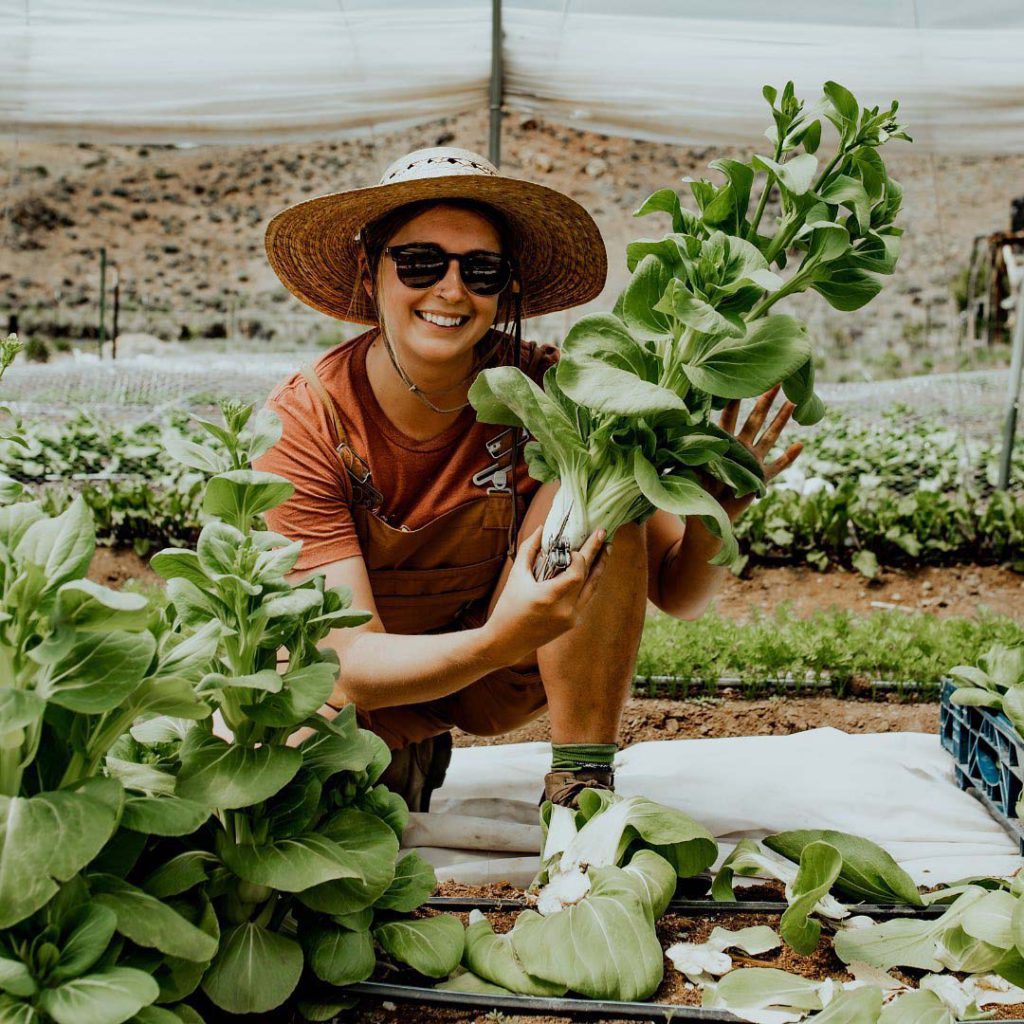 Mountain Roots Food Project - Gunnison Crested Butte Colorado