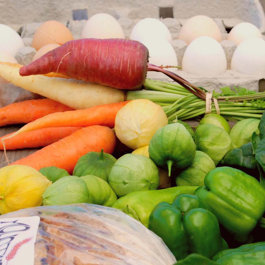 Mountain Roots Food Project - Gunnison Crested Butte Colorado