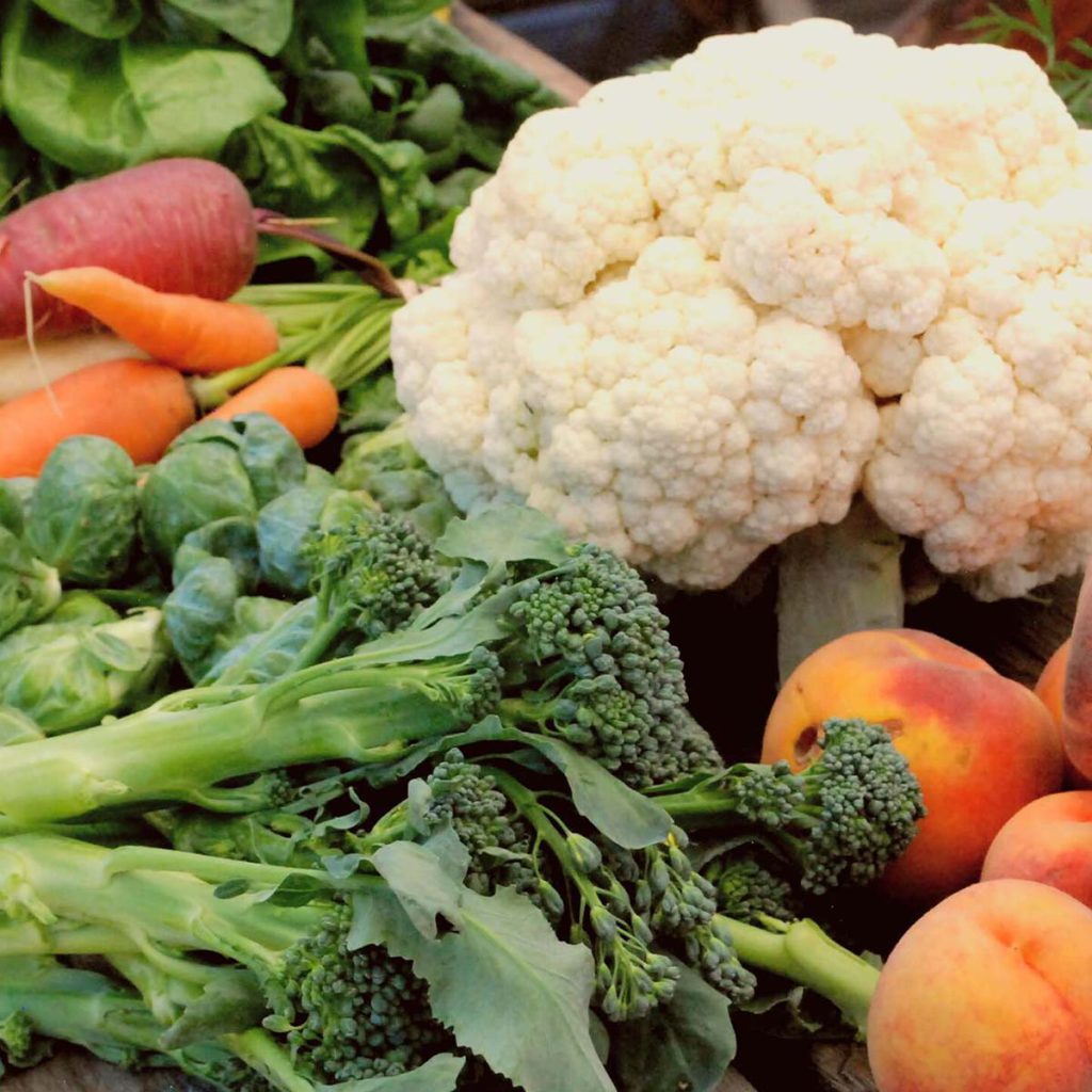 Mountain Roots Food Project - Gunnison Crested Butte Colorado