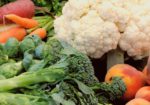Mountain Roots Food Project - Gunnison Crested Butte Colorado