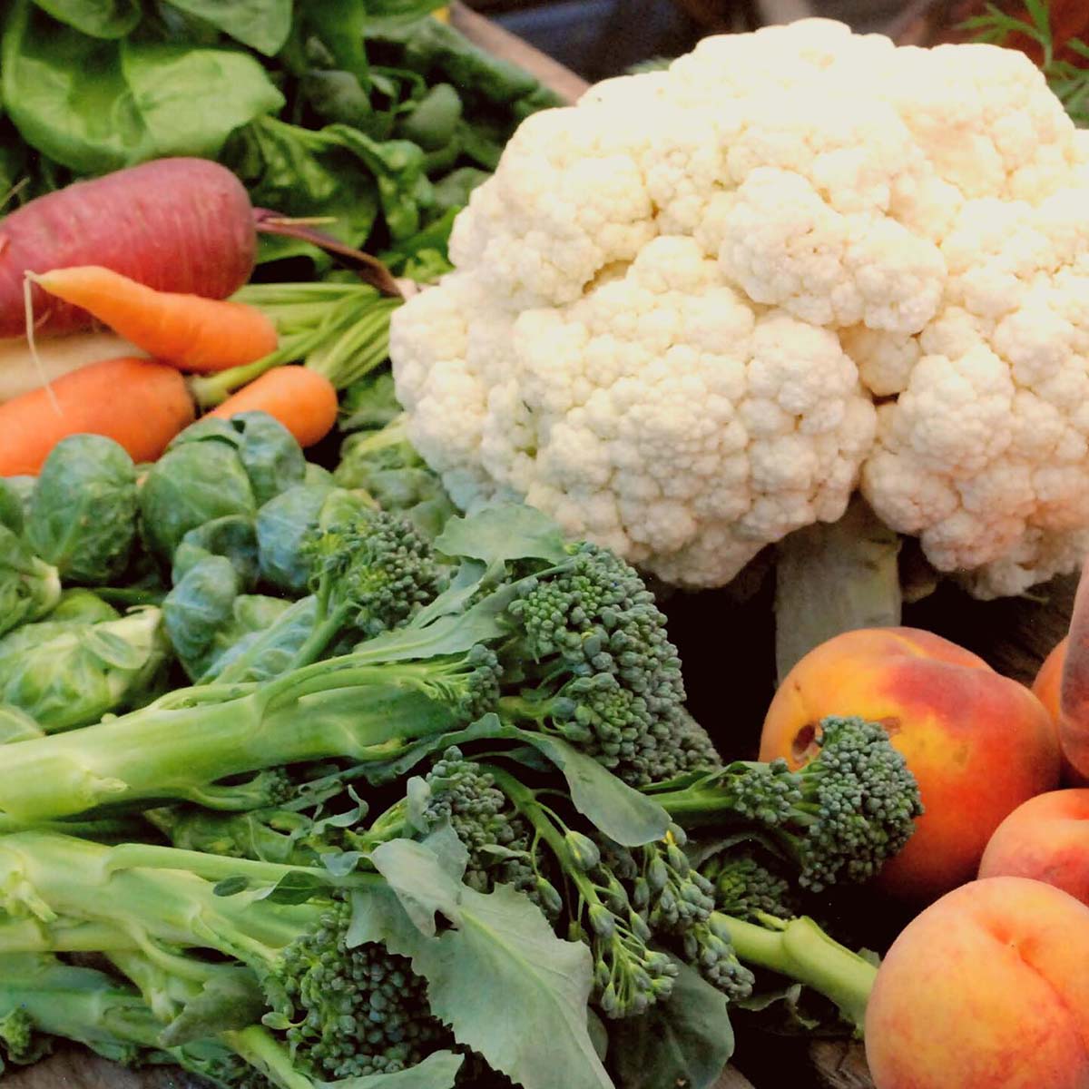 Mountain Roots Food Project - Gunnison Crested Butte Colorado
